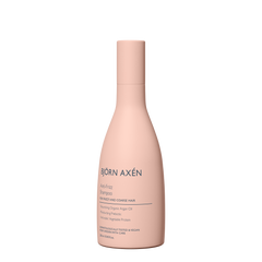 Розгладжуючий шампунь Bjorn Axen Anti-Frizz Shampoo, 250 ml