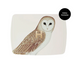 Палетка для обличчя Hourglass Ambient Lighting Edit - Unlocked Owl (кастомізована)